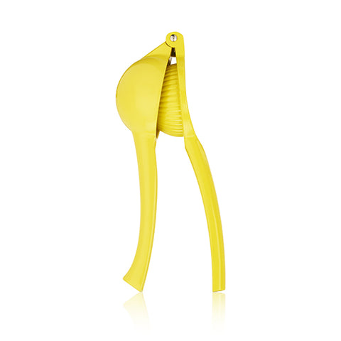 Metal Citrus Press